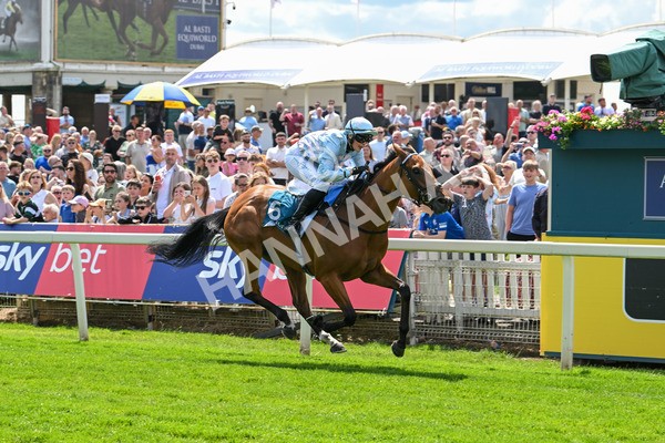 140625-Race 2-My Dream World-2325 - Race 2 2.25pm Queen Mother's Cup Handicap