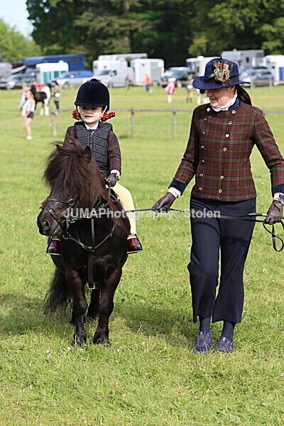 IMG_2138 - Working Hunter
