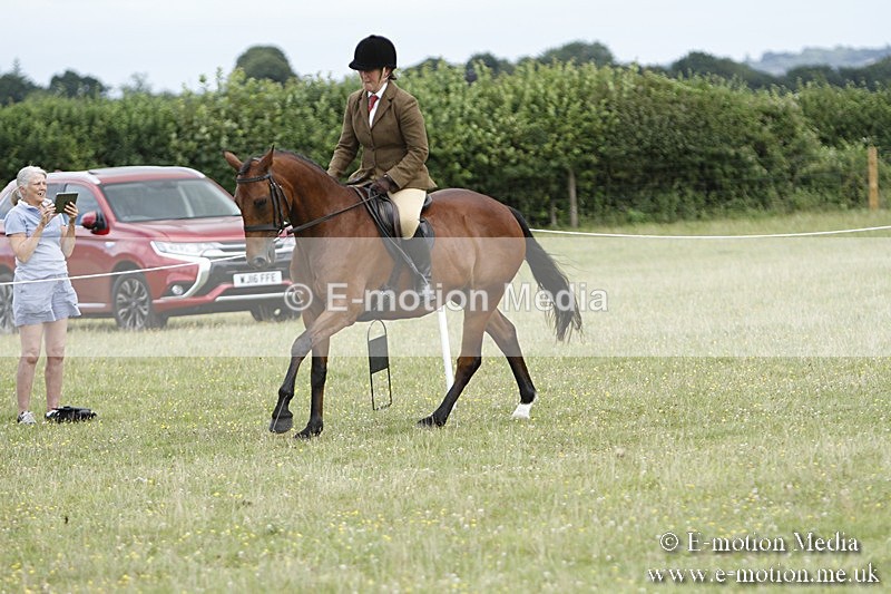 BVR160717-1793 - Ring 3 BVRC Show 16/07/17