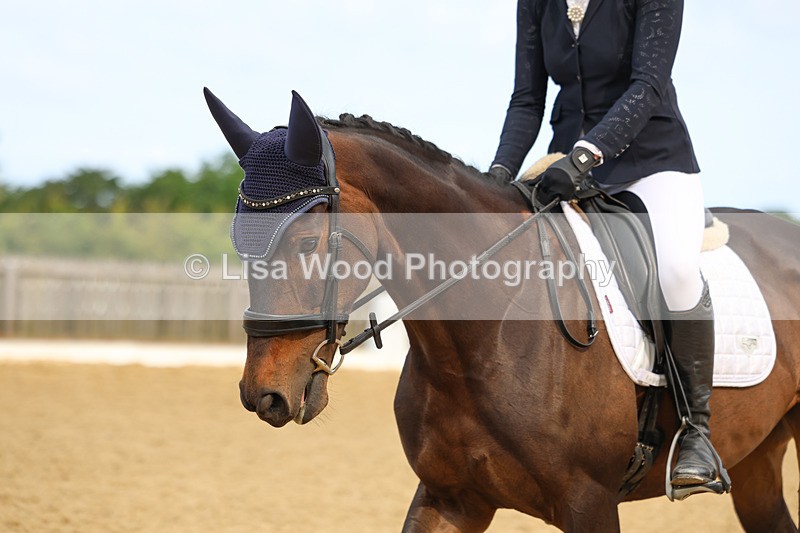 3E7A8714 - Class 1: Intro 1 2024 Section A