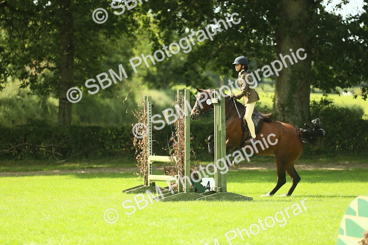 SBM_44590 - S31 - Working Hunter Pony