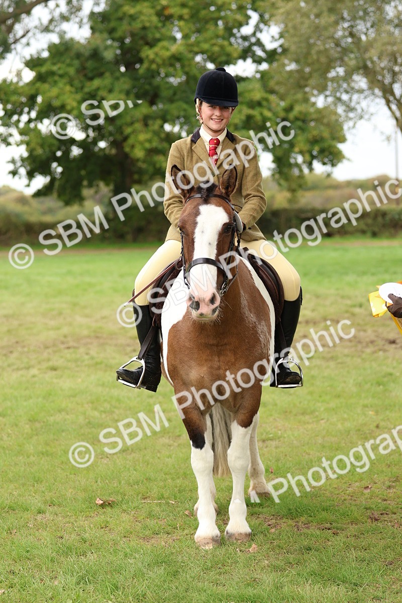 SBM_65213 - S59 - Part Bred Arab & Native Pony Ridden