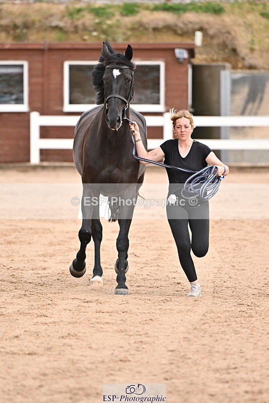 250716-151148-01747 - Trot Up 2.30 to 3.30