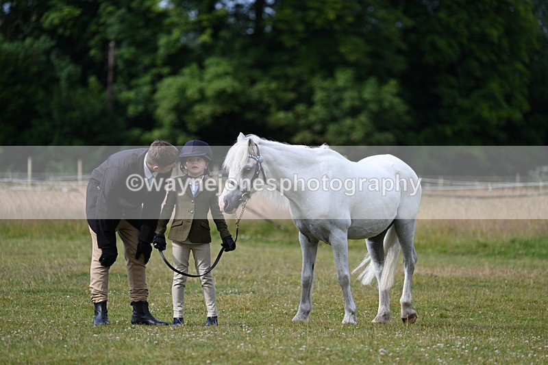 WJ7_4547 - Class 1 Lead Rein Pony