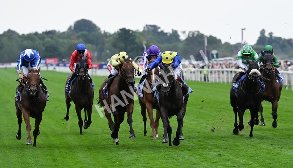 230825-067 Never So Brave - Race 3 3.00pm Sky Bet City Of York Stakes