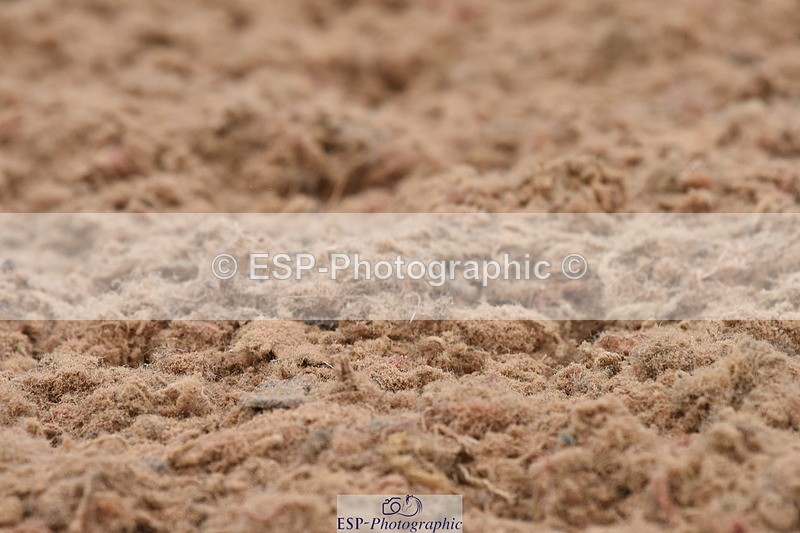 230630A-131358-02664 - Cls 16+17 Advanced 101+105