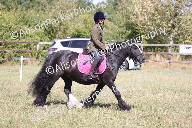 20260906-2343 - Class 16 - Family Pony