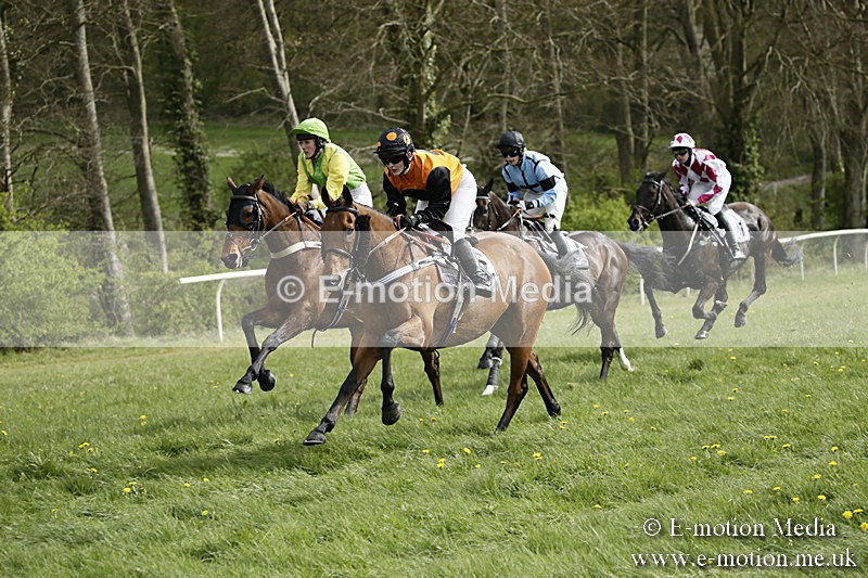 PtP 170417 297 - Old Berks Point-to-Point Lockinge 17/04/17