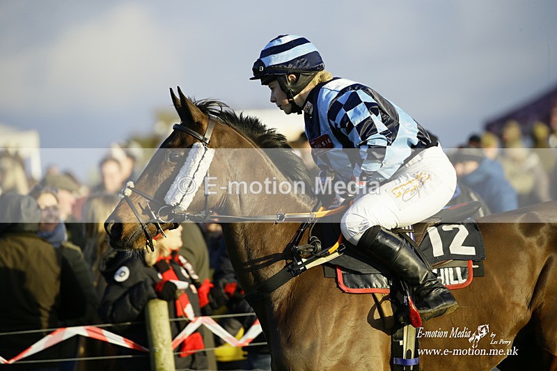 PtP 300122 699 - South Dorset Hunt - Point-to-Point Races 30/01/2022