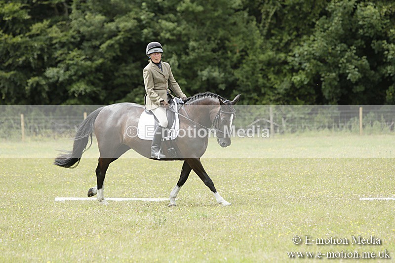 BVR160717-2080 - Class 4 & 5 Dressage 16/07/17