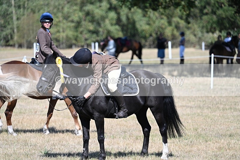WJ7_4166 - Class 9 Mountain & Moorland Ridden
