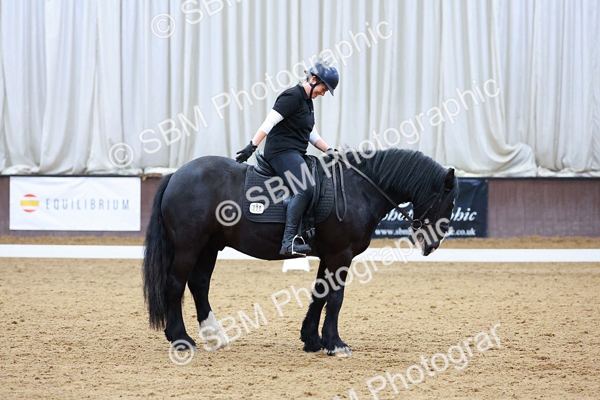 1I0A0816 - Class 3-6 - Prelim 1-Novice 2