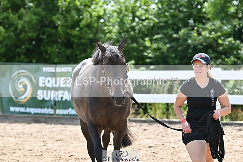 240717A-153843-02939 - Trot Up 3pm to 4pm