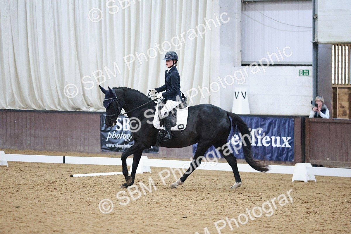 SBM_004714 - Ring 3 - International -  Working Hunter Classes 23-2-25