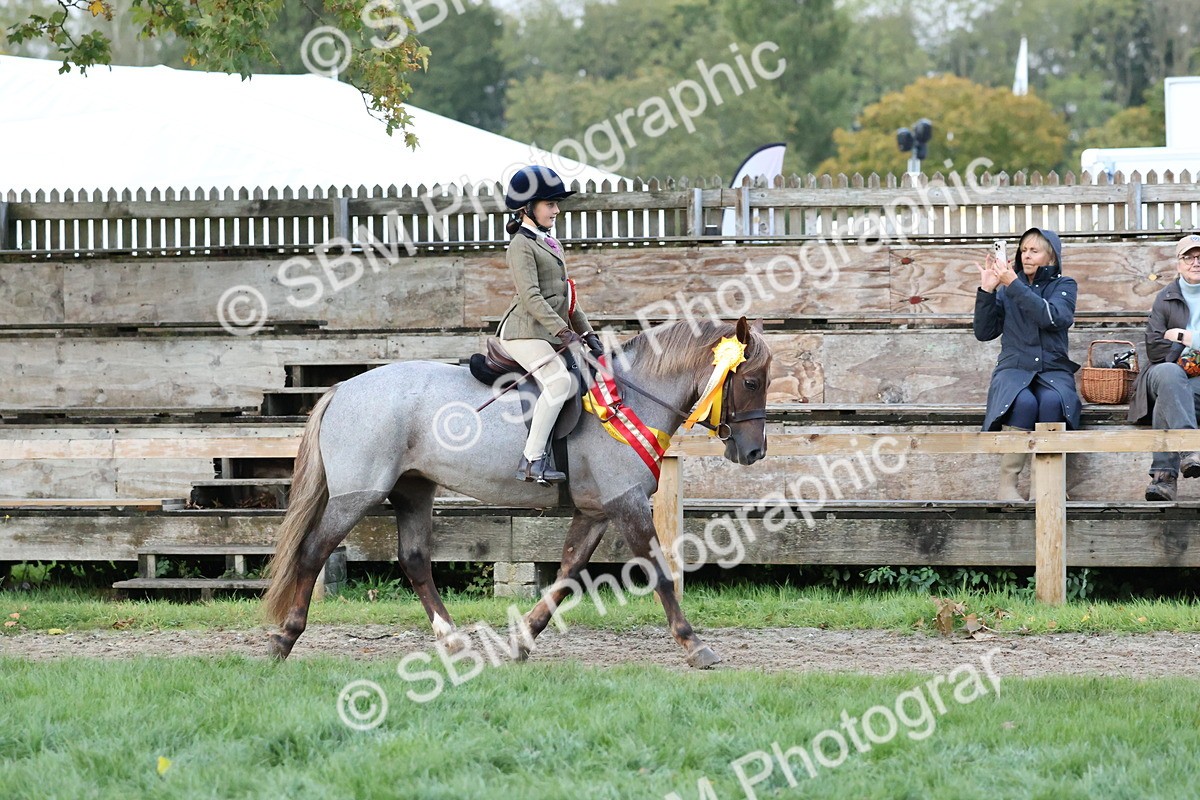 SBM_53405 - Super Supreme Championship (Sat)