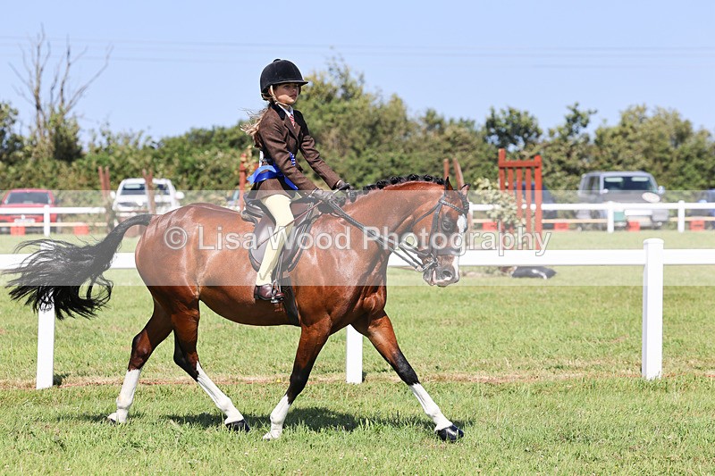 IMG_2071 - Class 34: Show Hunter Pony 153cm and under