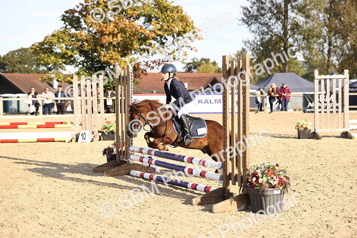 SBM_59546 - J11 - Junior Pony 50cm Championship