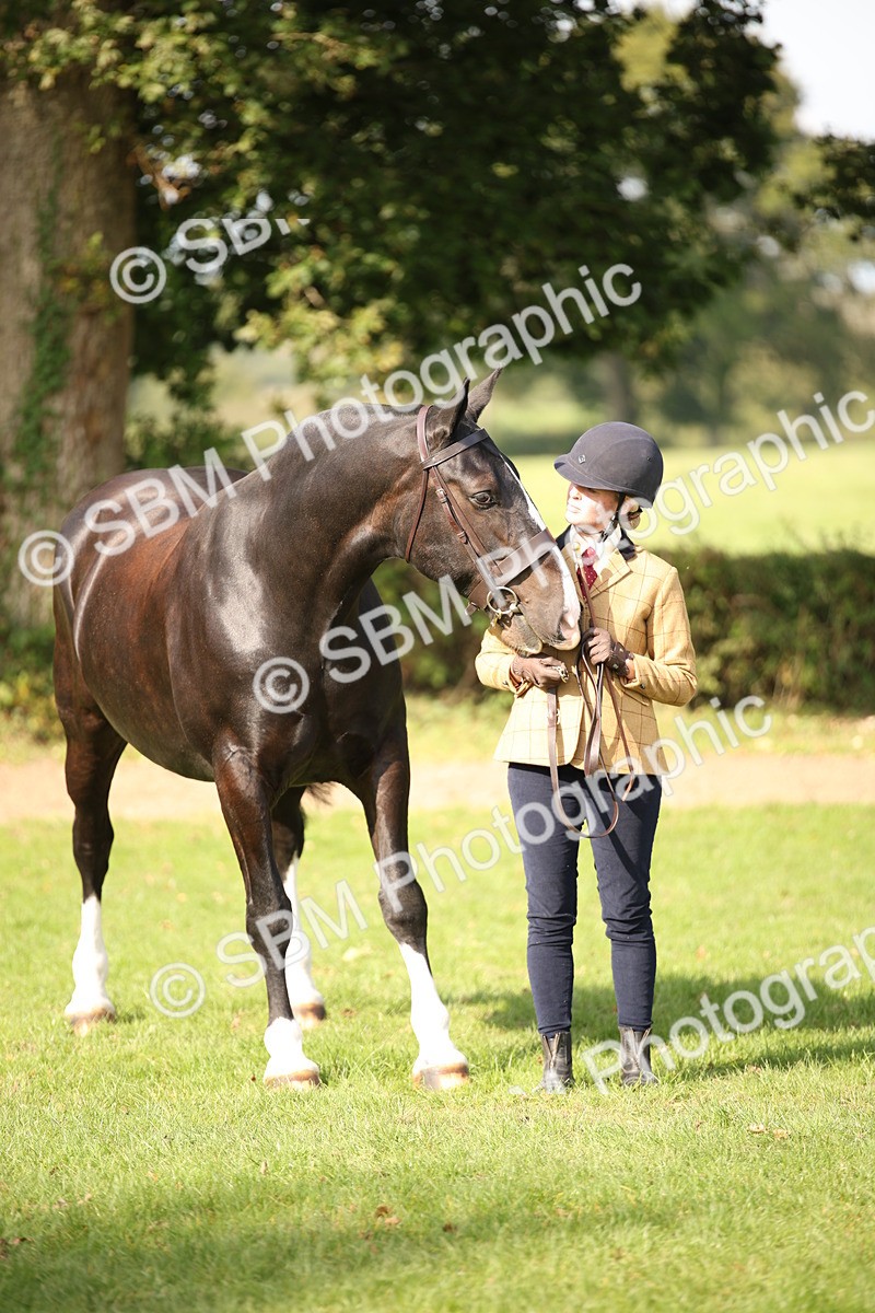 SBM_61211 - S54 - Show Cob In Hand