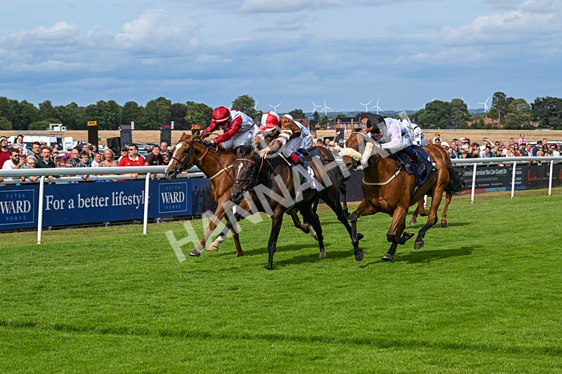 050725-Race 5-Take A Breath-8914