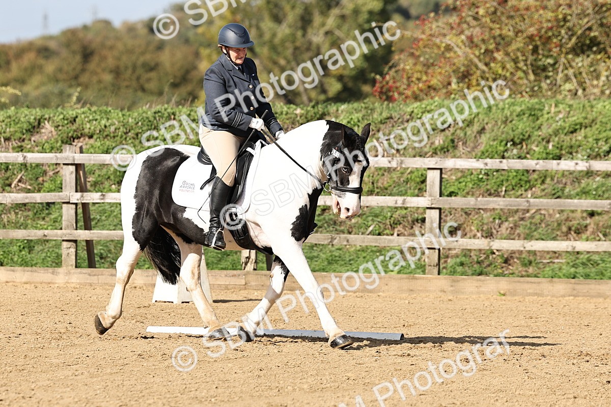 SBM_002130 - Class 50 - Novice 1