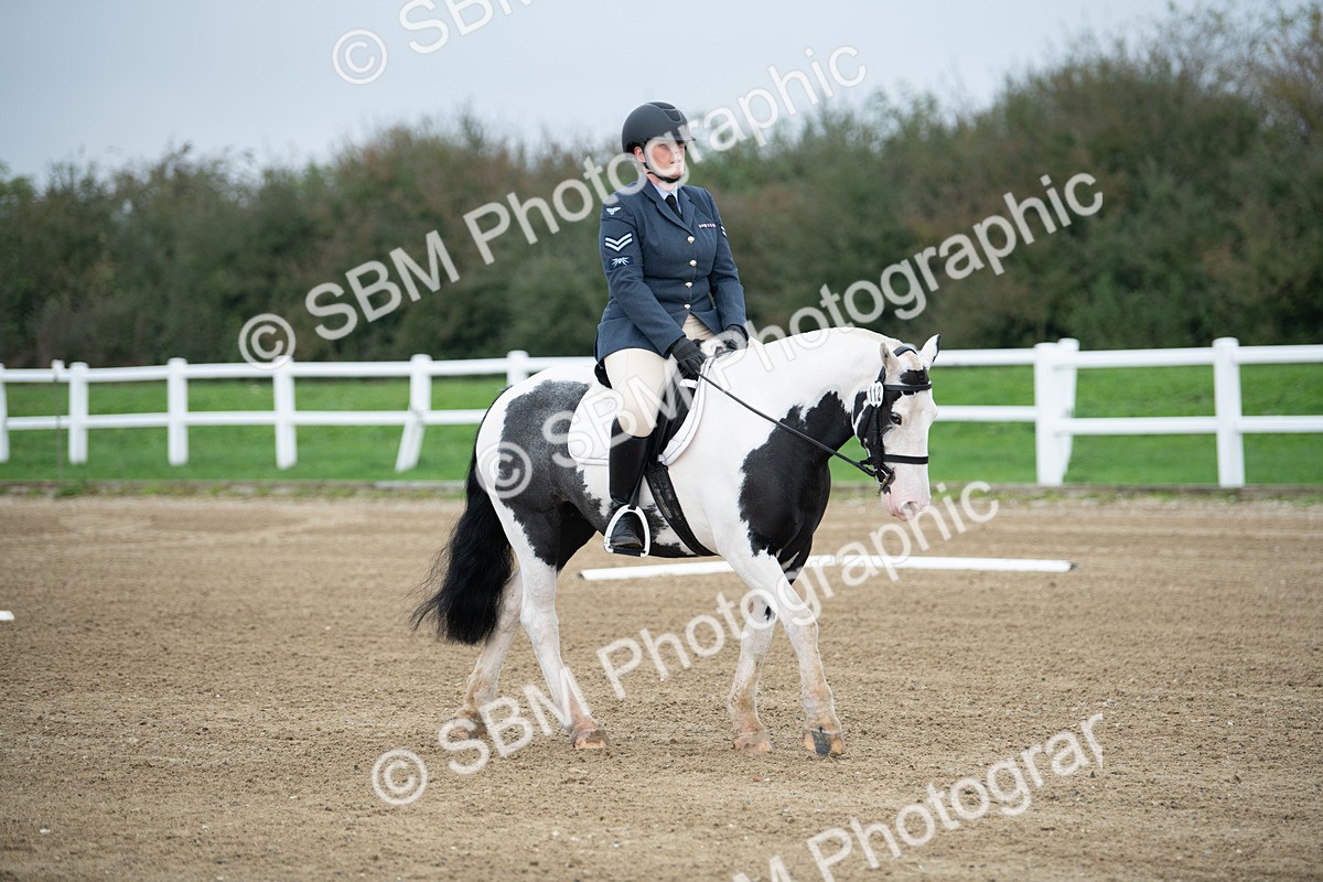 SBM_003498 - Introductory Test 3