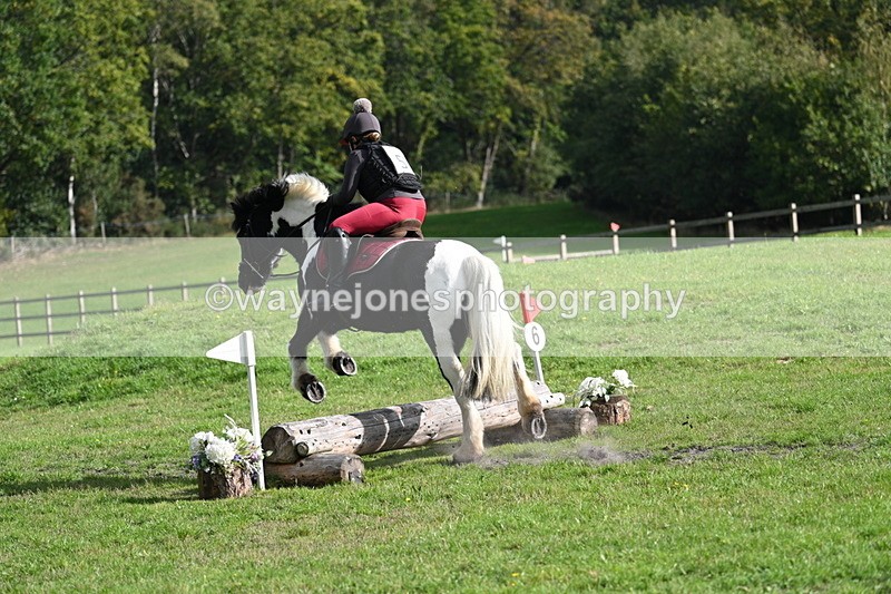 WJ7_3729 - 40cm Time 10:26 to 10:42