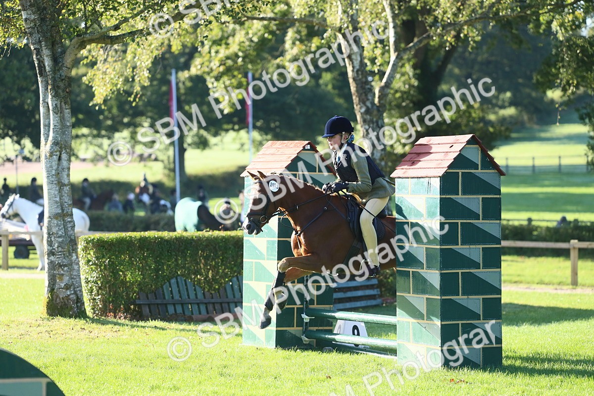 SBM_33395 - S28 - Nursery Stakes Working Hunter Pony