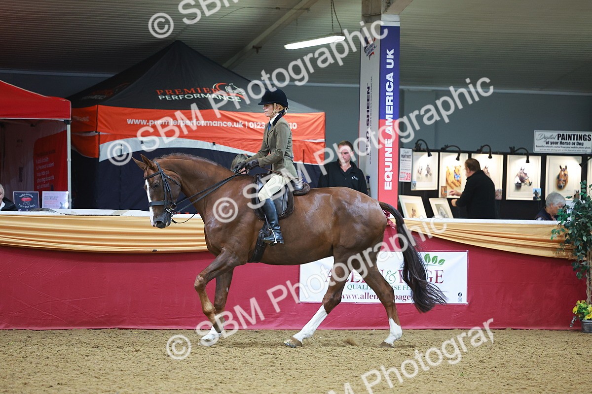 SBM_10660 - Class 103 - HOYS Veteran Qualifier - Ridden Pre Vet