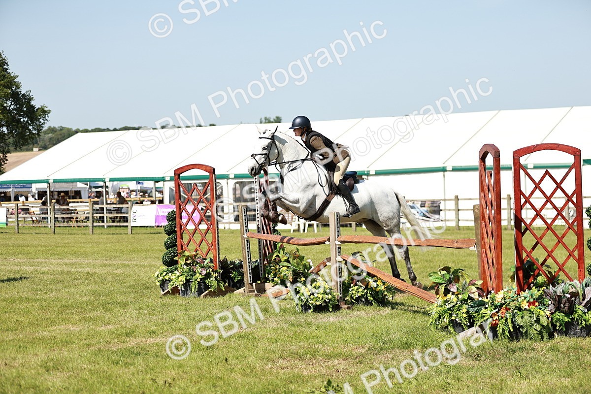 SBM_18450 - Class 112-113 - BSPS LIHS Working Sports Pony