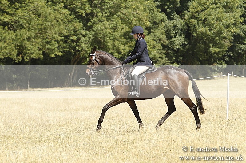 _BS_0750 - BVRC Show 2018 Ring 1