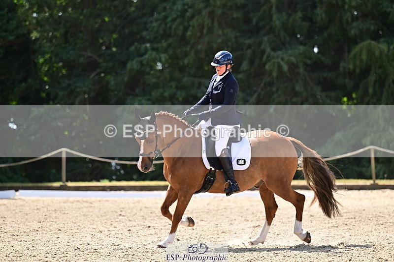 260731A-111412-00274 - Elementary Bronze 10.30 - Break
