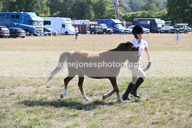 WJ6_7503 - Class 34 Judges Choice