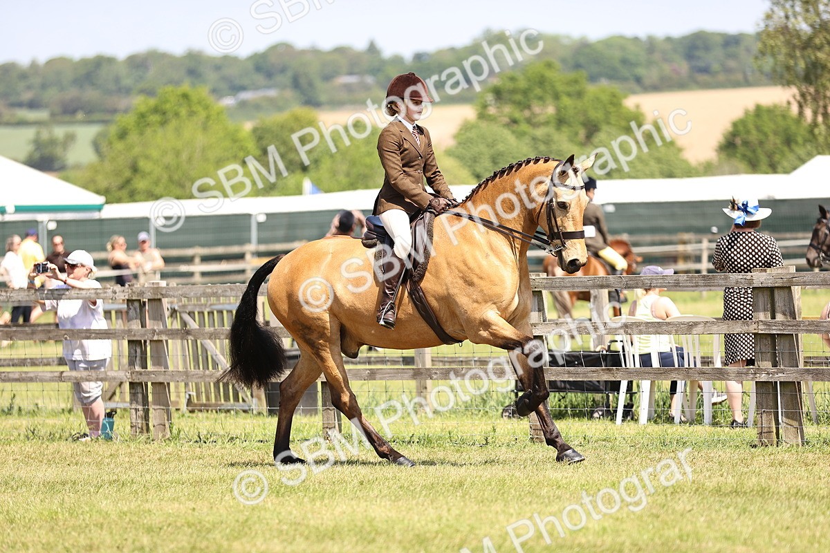 SBM_15055 - Class 79-80 - LIHS BSHA Rising Star Ridden Hunter