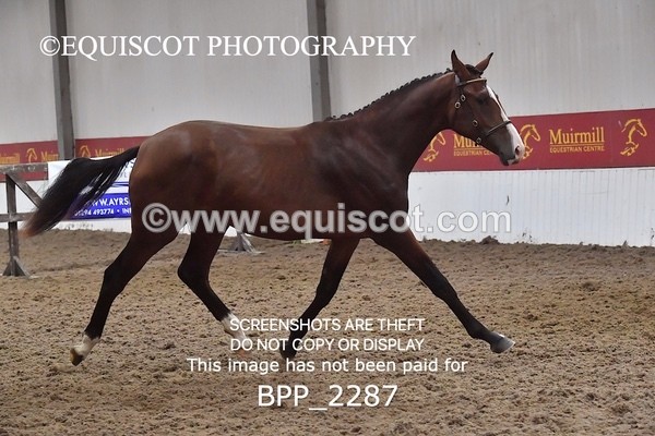 BPP_2287 - AFTERNOON 12.30 - 3.30PM