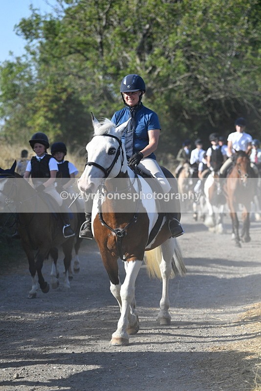 WJ5_4936 - Walk out with the hounds