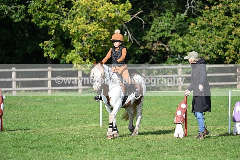 WJ7_3930 - 40cm Time 10:26 to 10:42