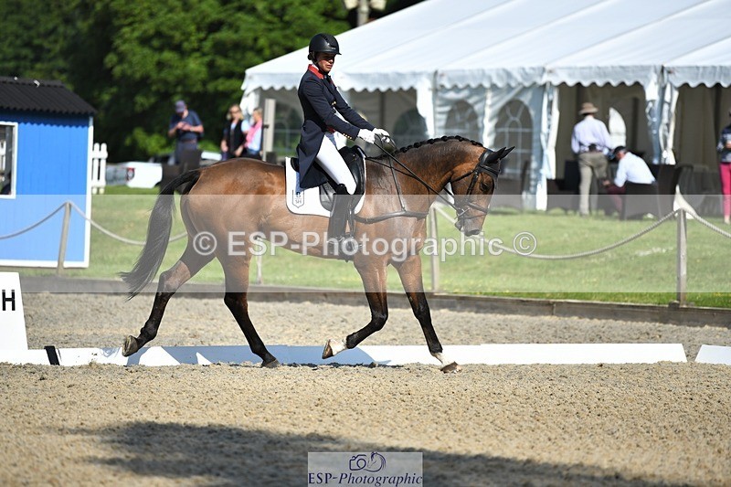 230525-092509-01596 - 305-BARRINGTON_57-Izzy_Taylor-WEDTrotUp+DR