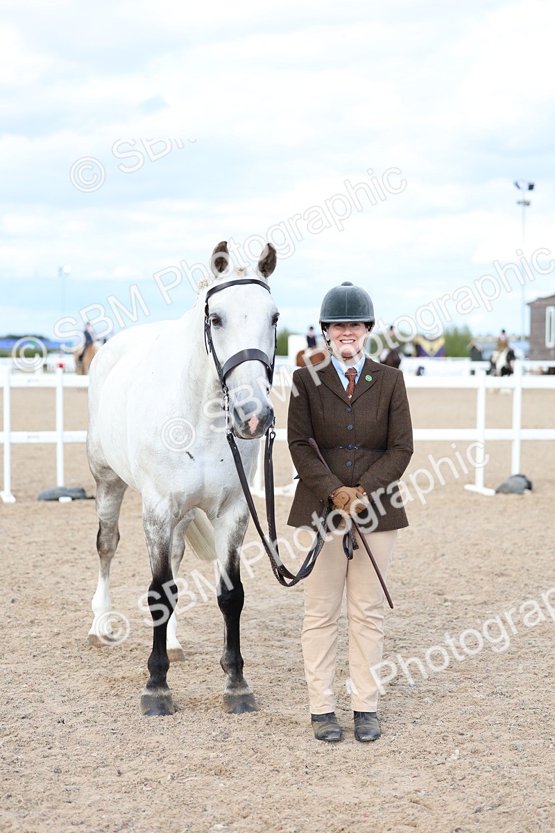 SBM_18748 - Class 317 - IH Pure Bred Horse-Pony