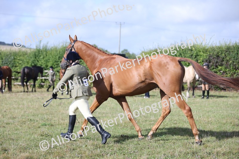 20250831-1418 - Class 21 - Inhand Open