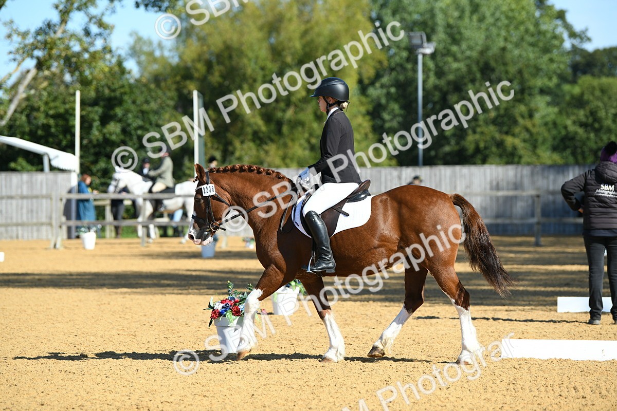 SBM_18039 - D4 - Small Tour Championship - Intro B