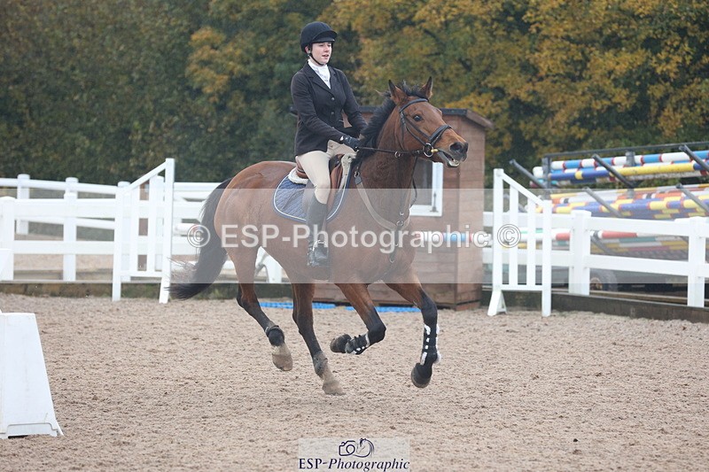 231112A-102015-03301 - Cls 17 Blue Chip Novice Winter Qualifier