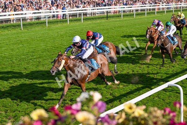 240824-Race 7-Sir Busker-1997 - Race 7 5.20pm Sky Bet Finale Handicap