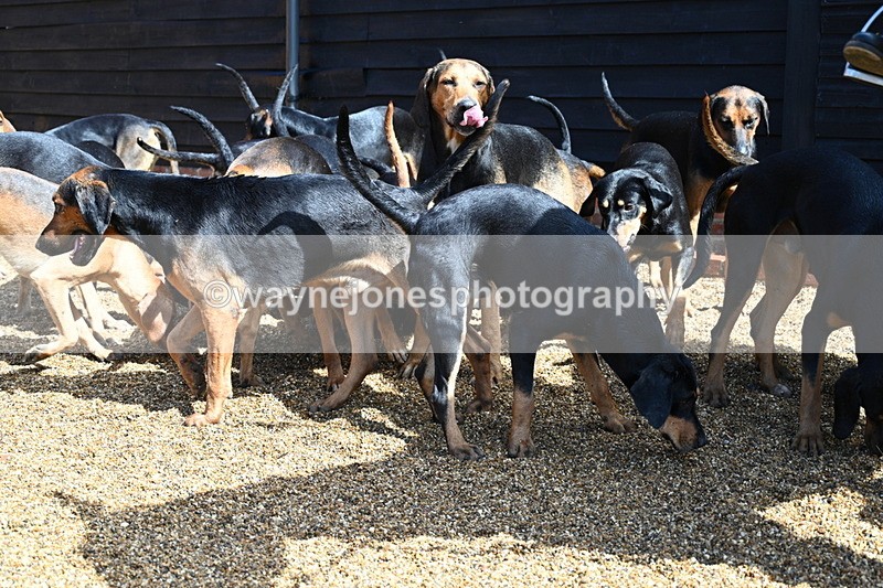 WJ7_7083 - Berks & Bucks at Blandy’s Farm 31-08-25