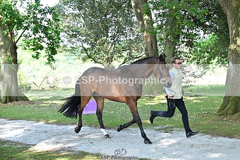 250521A-162616-01140 - C-222-Jason.Wood-NITOR