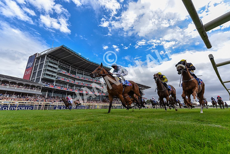 250726-Race 2-Stratusnine-3994 - Race 2 14.00pm Sky Bet Dash