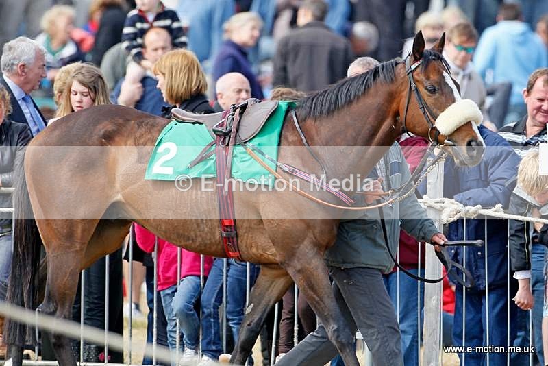  GRD 030510 3 - Guernsey Race Day 03/05/10