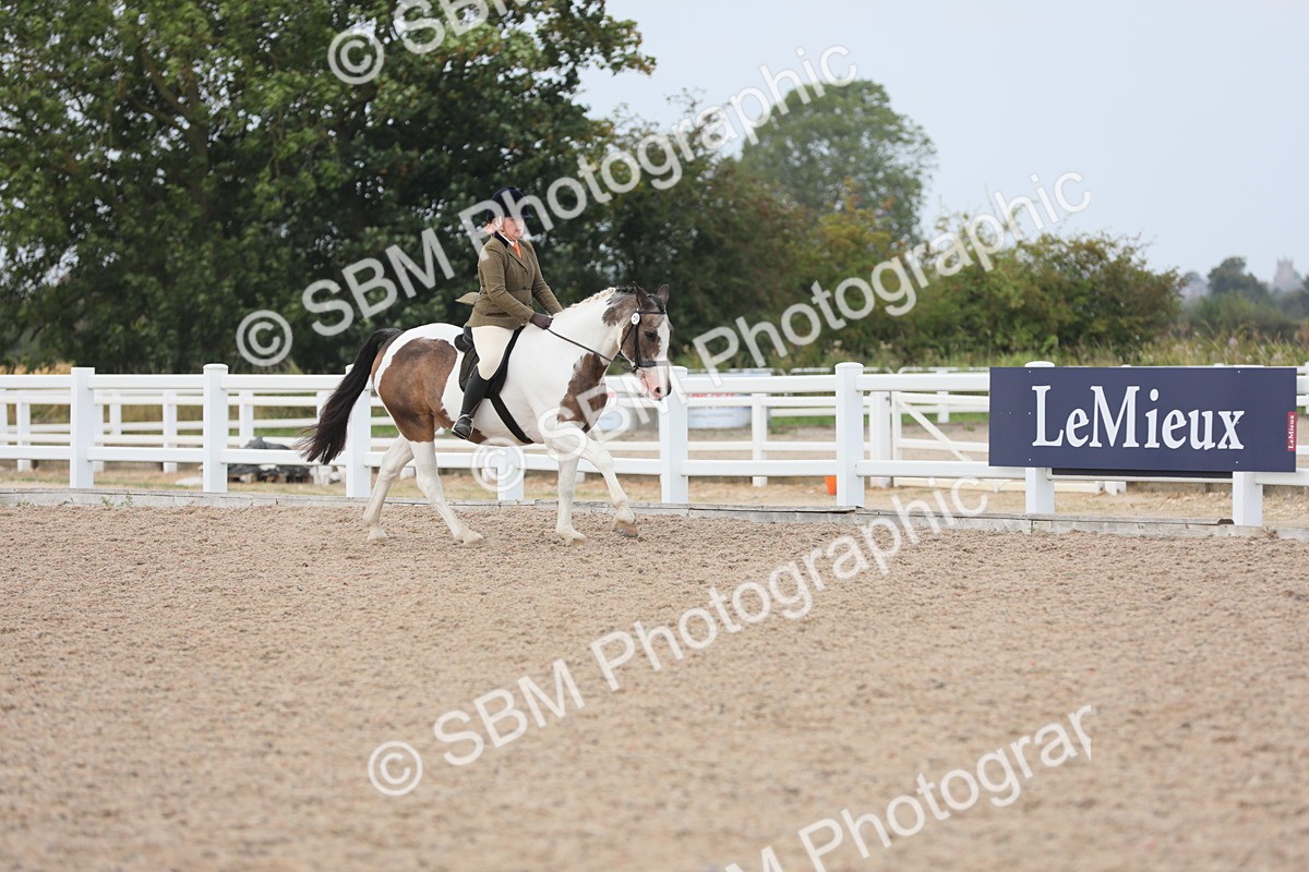 SBM_16869 - Class 314 Family Horse/Pony