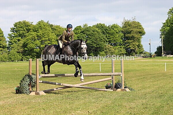 IMG_4845 - Working Hunter