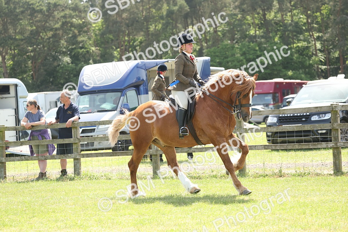 SBM_07010 - Class 26-30 - Mountain and Moorland Ridden