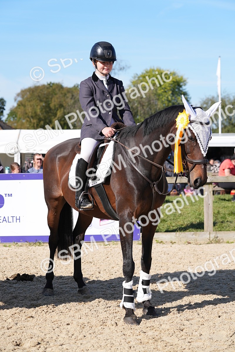 SBM_36243 - J 20 - Junior Horse 50cm Championship
